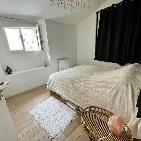 Apartment Rooftop Dans L'hyper Centre Bordeaux